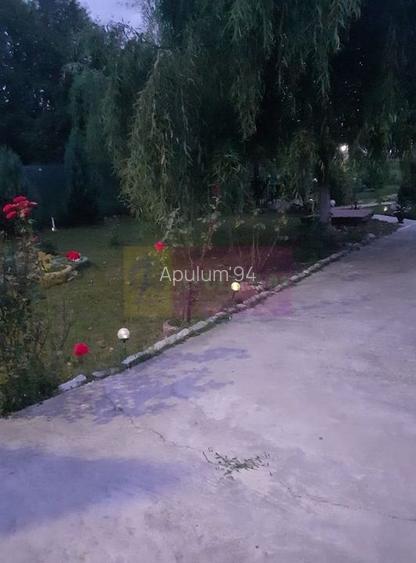 Casa Prahova Comuna Buchilas | 2.800 MP TEREN | Zona Verde | Padure - 11