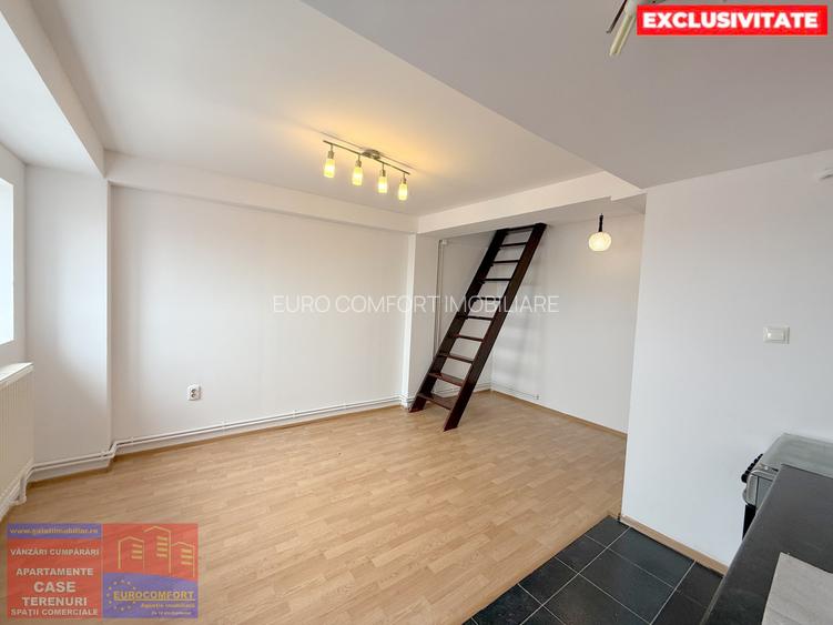 ZONA GENERAL: Mansardă Modernă cu Terasă privată - 3