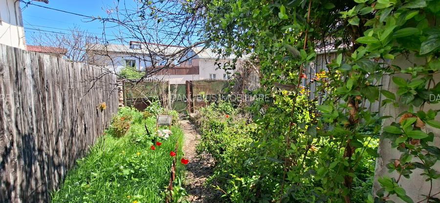 Teren ideal pentru casa ta, în Mazepa – zonă premium, utilități existente - 6