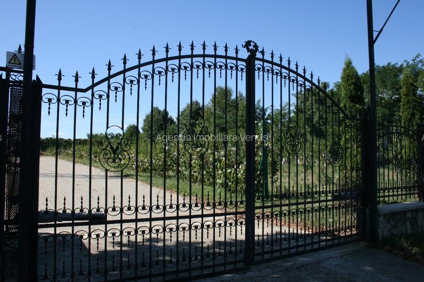 Proprietate deosebita la Vorona pe 1 ha de teren - 11