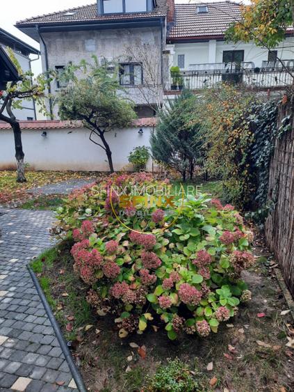 Dorobanti Capitale, vilă interbelică renovata, de inchiriat pentru birouri - 31