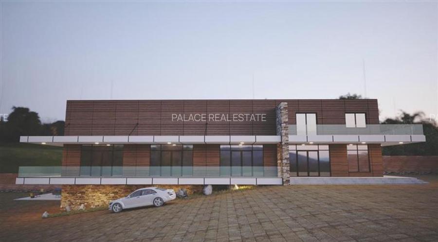 Cladire Comerciala Moderna Paun Bucium - 4