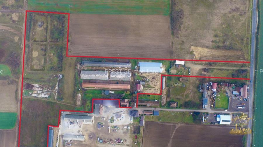 Domeniu - Centru de colectare, 7 ha de vanzare in Valea lui Mihai - 4