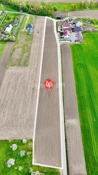 SE VINDE Teren Intravilan de 6.200mp prntru constructie casa, in Rosiori, jud.SV - 6