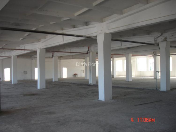 Proprietar - inchiriez hala productie/depozit Drumul intre Tarlale - Pallady - 6