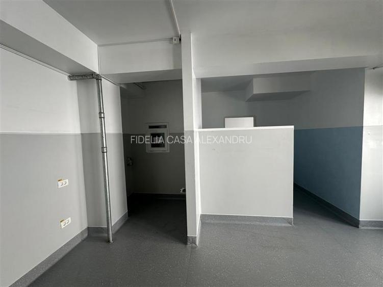 Spatiu comercial 195 mp de inchiriat, Valea Lupului - 10