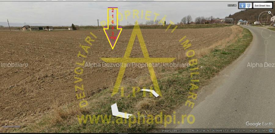 Bacau com. Tamași teren intravilan 21643 mp - 6