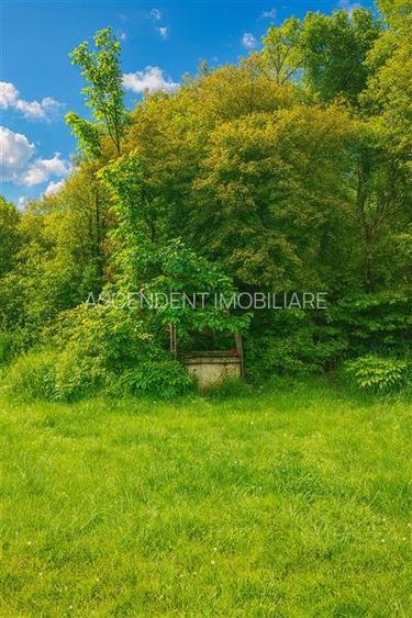 Domeniu verde autentic,  +5.000mp, front la DJ, Valcele, Brasov -- Covasna - 2