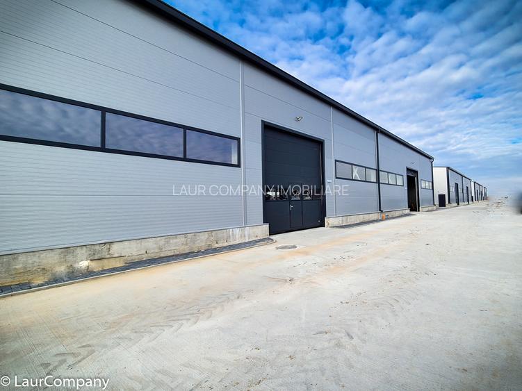 Hale,spatii industriale Albota,Pitesti Arges - 4