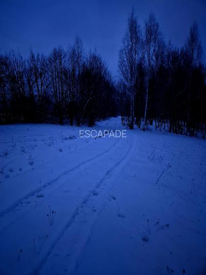 Teren extravilan 5000 mp Sinca Noua - 9