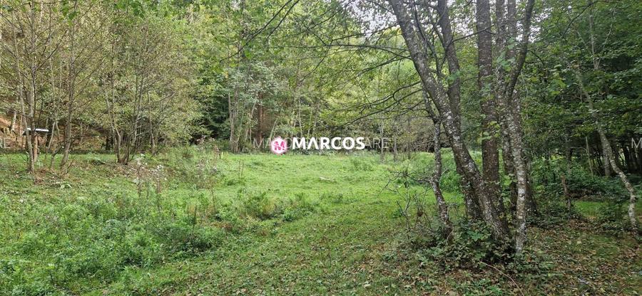 Teren Valiug, 612mp,ID 1036 - 4