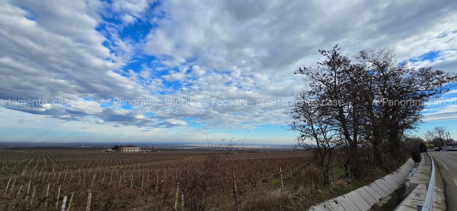 Casa de vacanta la vanzare   Beciu -Odobesti - 29