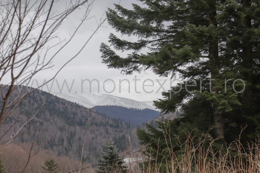 Busteni – Kalinderu, Teren Cu Vedere Senzationala Spre Muntii Bucegi! - 5