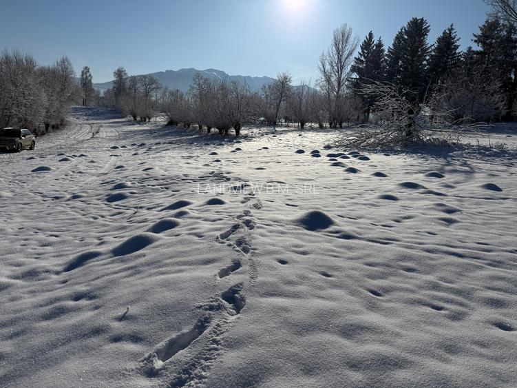 Teren intravilan zona Zarnesti-Tohanita cu priveliste,  intre 500 si 1000 mp - 9