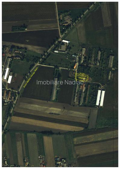 GRAJD + un TEREN INTRAVILAN de vanzare in Nadlac - 5