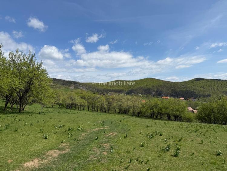 TEREN INTRAVILAN 8330 MP, INURI, VINTU DE JOS - 10