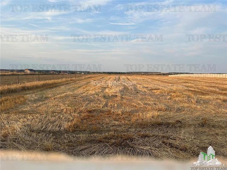 TEREN 2500MP BALACEANCA - 2