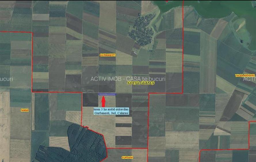 Vând teren arabil (3 ha) în Gurbănești, jud. Călăr - 2