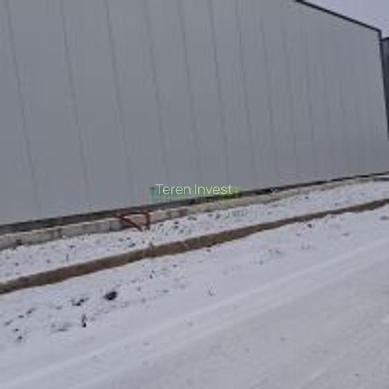 Vânzare hală depozitare - Drumul Între Tarlale - 20
