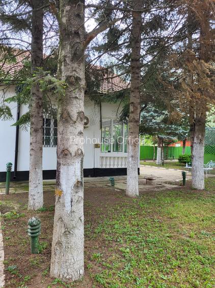 Refugiul tău verde, aproape de oraș la Snagov - 3