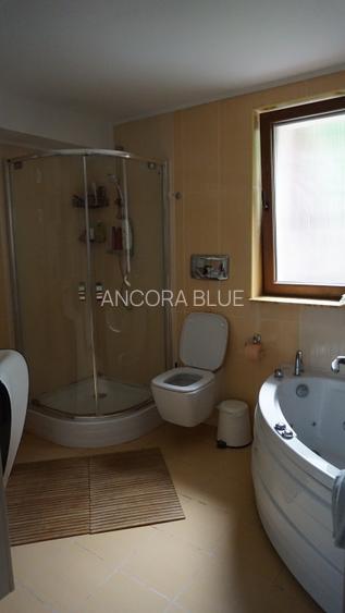 Vila superba in Padurea Baneasa, curte 5000 mp, piscina exterioara - 26