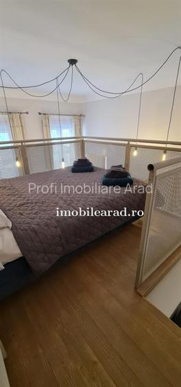 Apartament 60 Euro pe zi, amenajat in stil unic langa Primaria Arad - 7
