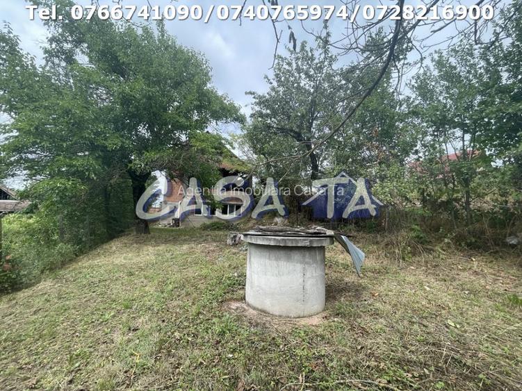 Casa D+P+M, Curtisoara - 16