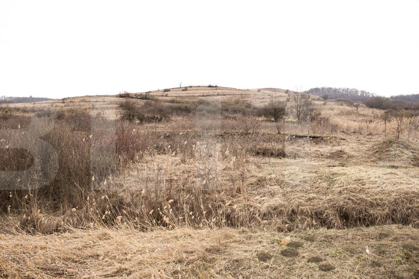 Teren 7088 mp în Borhanci – achiziție integrală sau separată - trei parcele