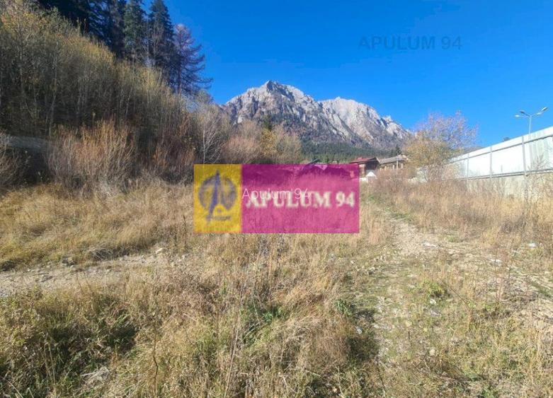 Teren intravilan de vânzare în Bușteni - Zona centrala - 11