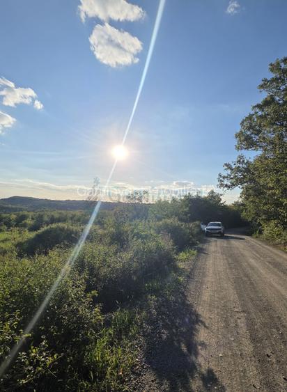 Teren panoramic pe dealul Doja, Oradea, Bihor - 3