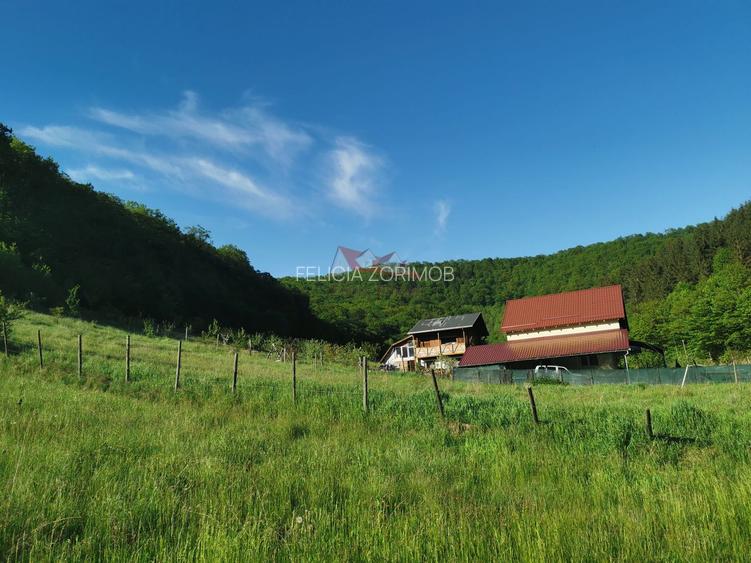 Teren la vanzare in Dej,cartier Viile Dejului - 8