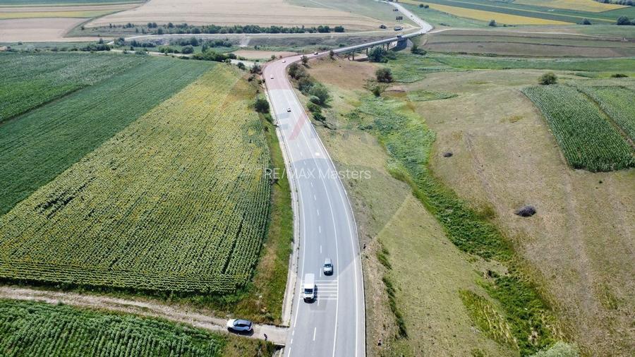 Teren 3,500mp Ilisesti / Strada Principala - 12