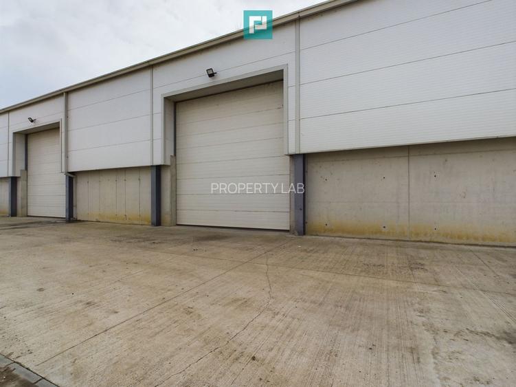 Hală industrială de 538mp Jebel, Timiș - 7