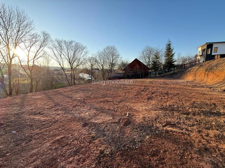 Teren intravilan pretabil pentru Casa Individuala, 1061mp, Vlaha - 12
