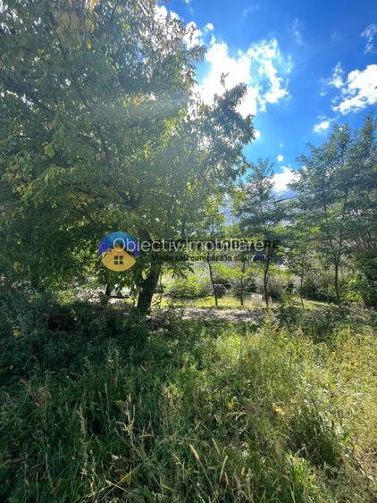 Teren investitie Turturesti-Girov - 5