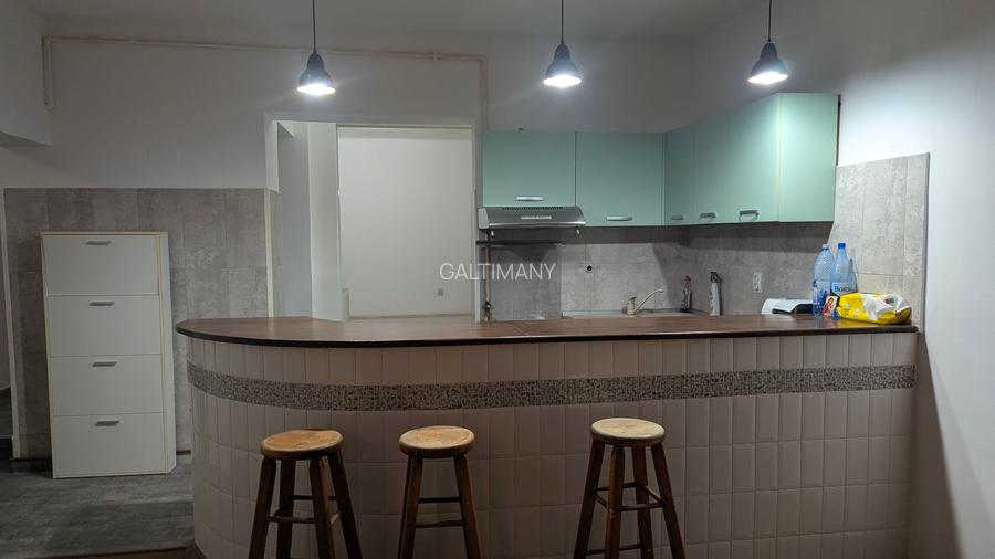 Vila P+1 Sector 1 Herastrau, Domenii, curte proprie, locuinta/birou/comercial - 24