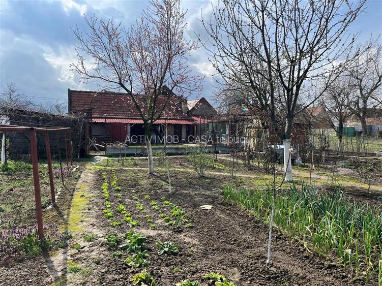 Belint, Casa, 4 Cam., 2.935 Mp. Teren - 29