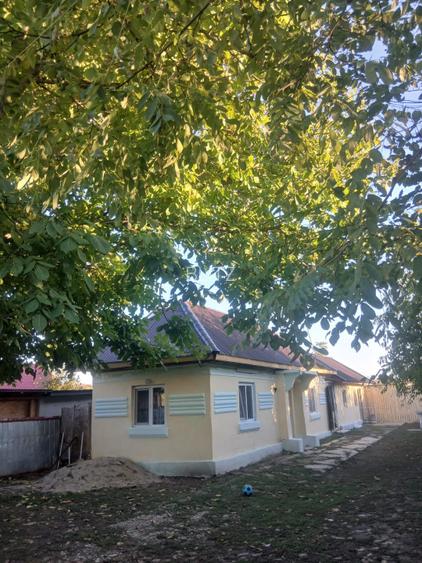 Casa de vanzare, 64.30 mp, Lacrita Mare - 18 km de Craiova - 4