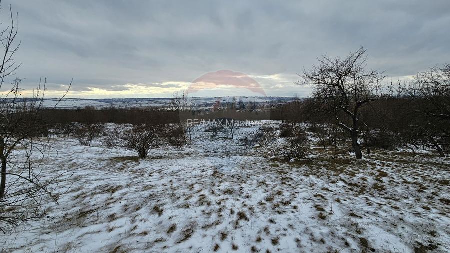 Teren 10,000mp Radaseni / Soseaua DN2-E85, judetul Suceava - 6
