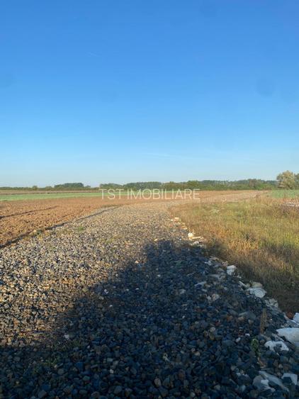 Teren intravilan de vanzare - Zona Aquastar / Str. Gorunului - 406 mp - 9