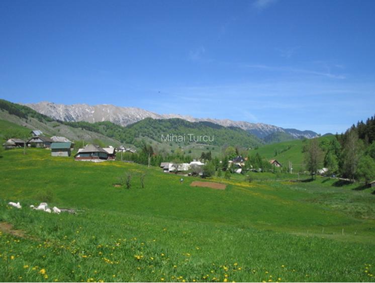Teren superb pentru construcții de vânzare în Șirnea, Jud. Brașov - 2