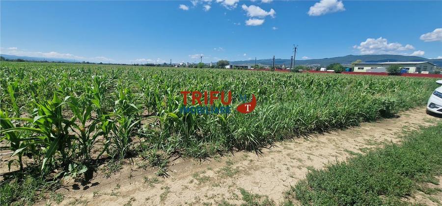 Teren de vanzare langa soseaua de centura, 5100 mp