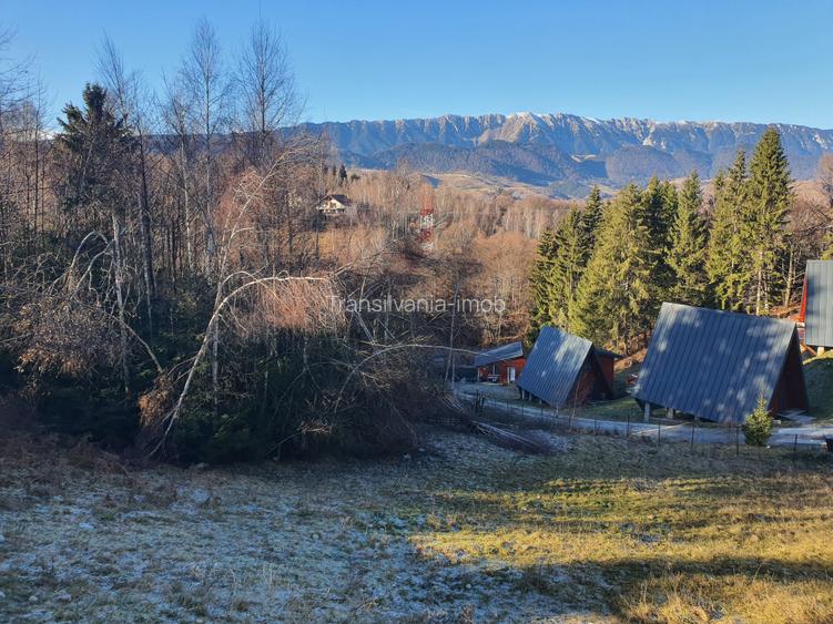 Teren Bran – Moieciu de jos - 2
