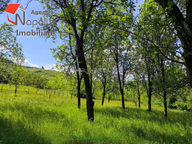 ✨ Teren cu potențial rezidențial și turistic | 3.000 m² | Exclusivitate Napolux - 3