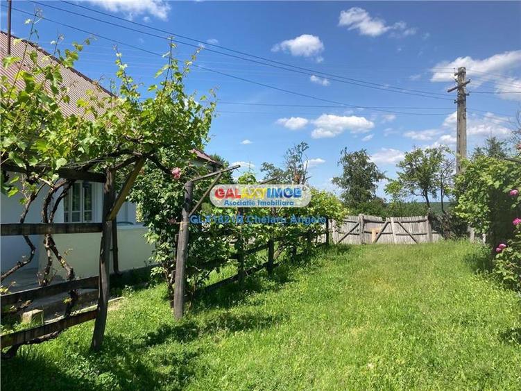 Răchitele de Jos,Arges,2 case 100 mp, teren 2000 mp, - 24