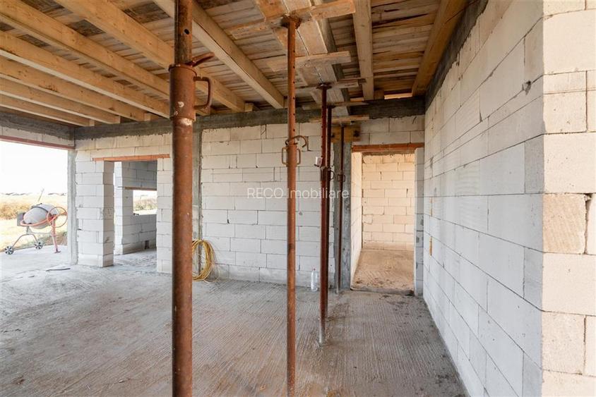 Reco, Casa la rosu Andromeda Oradea - 13