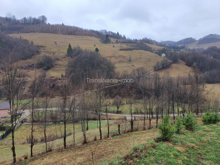 Teren Poiana Marului pretabil investitie 5 euro/mp - 2