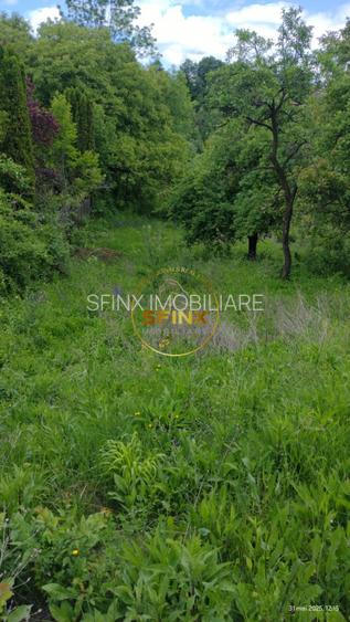 Teren intravilan cu deschidere la parau in Breaza – Strada Primaverii - 3