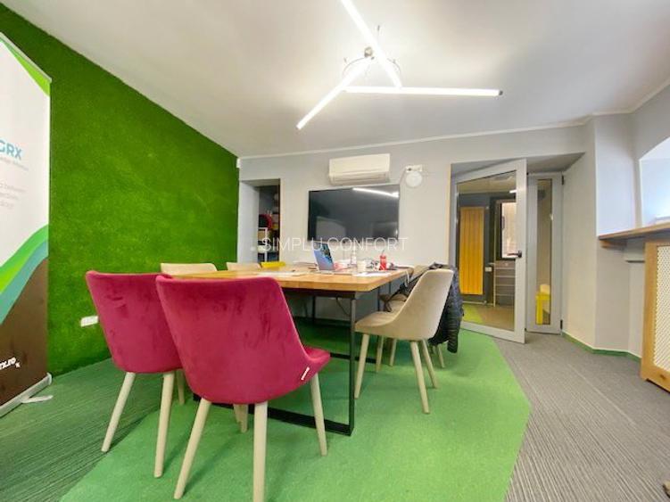 Cismigiu-Mircea Vulcanescu - 2