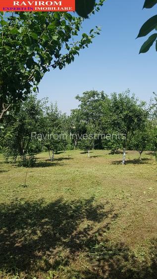 Sarata, Dealu Nou, teren 2800mp - 4